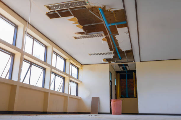 Best Local water damage restoration  in Millersville, PA