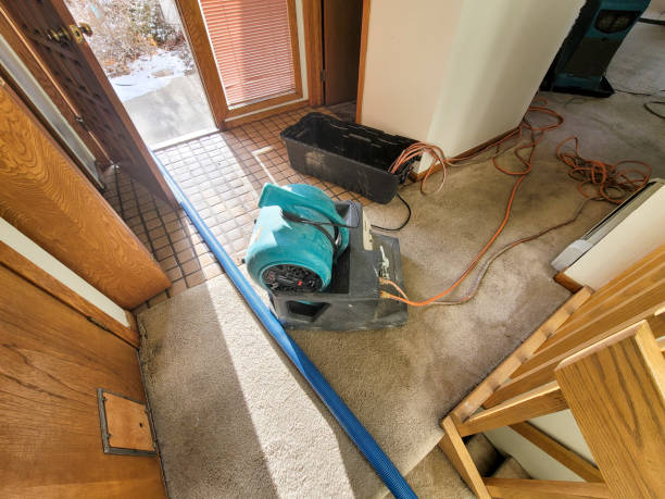 Best Water damage restoration near me  in Millersville, PA