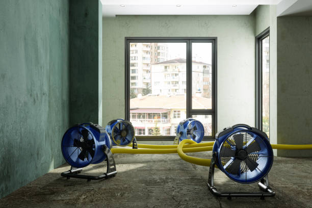 Best Residential water damage restoration  in Millersville, PA